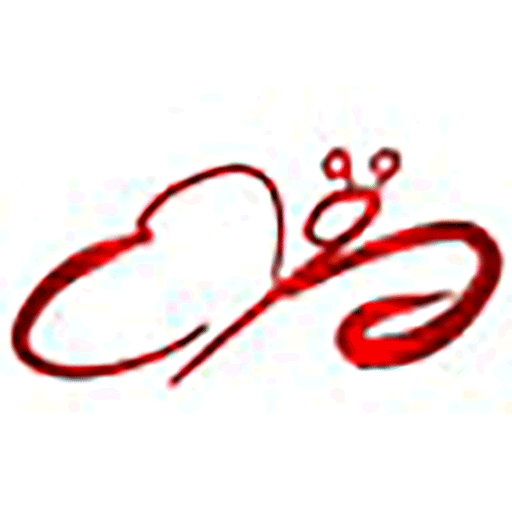 Wedding Planner Torino